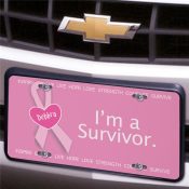 Surviving Pink License Plate