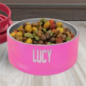 Engraved Block Name Stainless Steel Pet Bowl