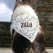 Personalized Dog Bandana