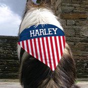Patriotic Dog Bandana