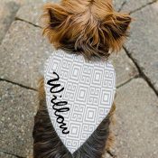 Personalized Square Pattern Pet Bandana
