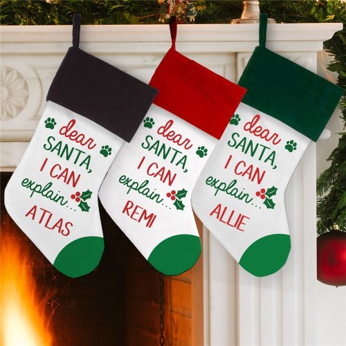 Personalized Dear Santa I Can Explain... Stocking