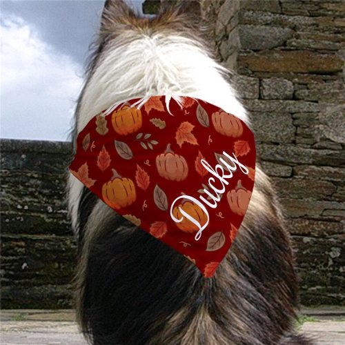 Personalized Pumpkins and Leaves Pet Bandana