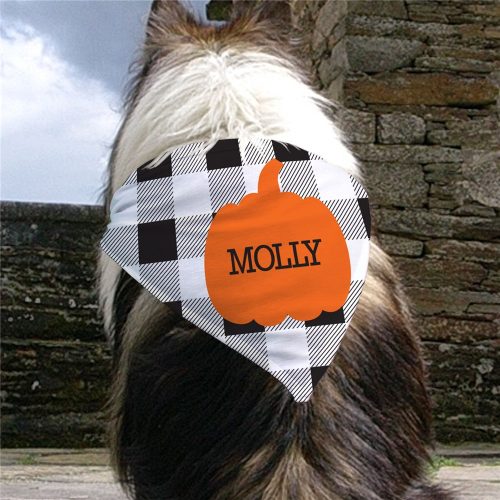 Personalized Pumpkin Plaid Pet Bandana