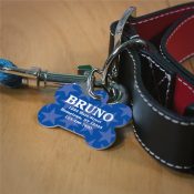 Blue Stars Personalized Dog Bone Tag