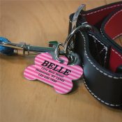 Personalized Stripes Dog Bone Tag