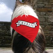Personalized Banner Pet Bandana
